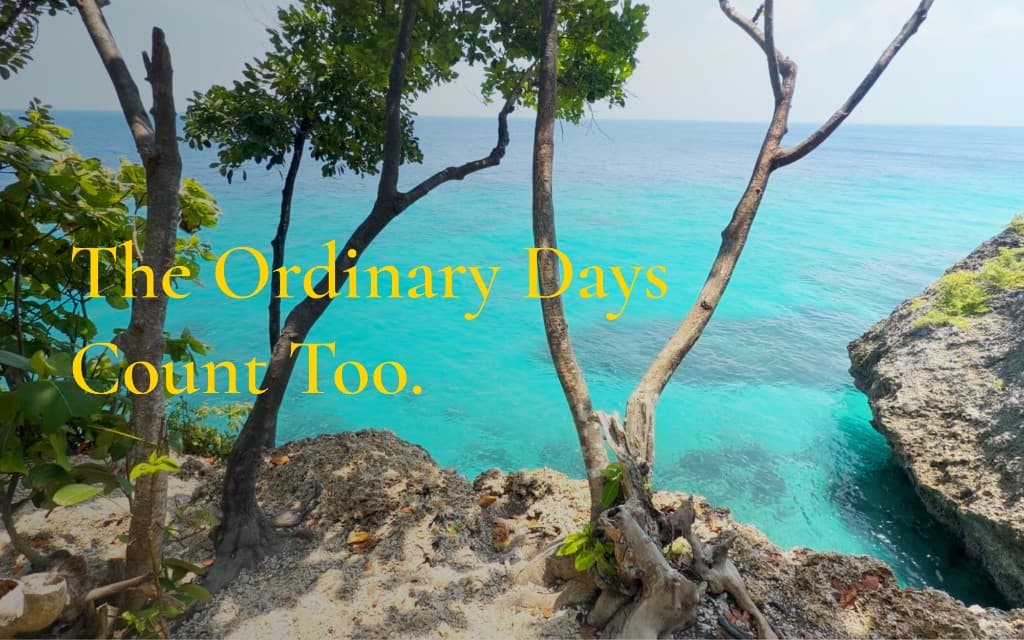 The Ordinary Days Count Too